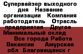 Супервайзер выходного дня › Название организации ­ Компания-работодатель › Отрасль предприятия ­ Другое › Минимальный оклад ­ 5 000 - Все города Работа » Вакансии   . Амурская обл.,Благовещенск г.